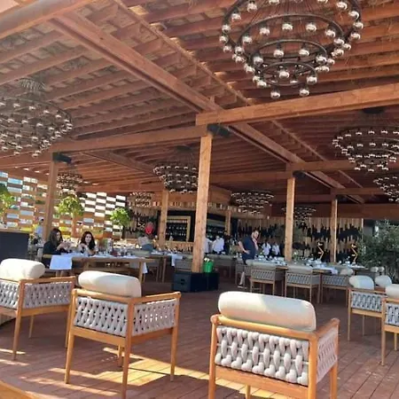 Joya - Mamaia Nord